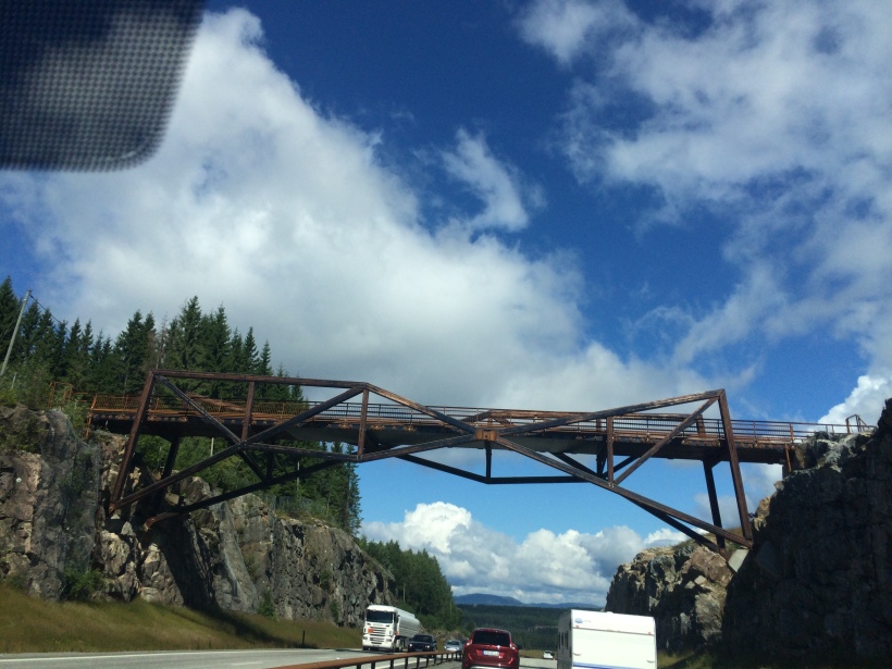 Heading out from Oslo we saw a few of these neat bridges. 